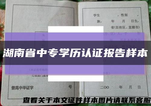 湖南省中专学历认证报告样本缩略图