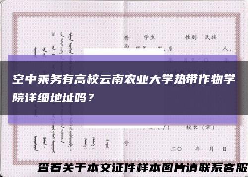 空中乘务有高校云南农业大学热带作物学院详细地址吗？缩略图