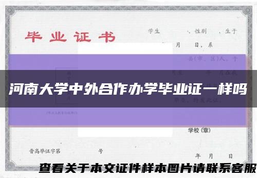 河南大学中外合作办学毕业证一样吗缩略图