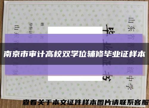 南京市审计高校双学位辅修毕业证样本缩略图