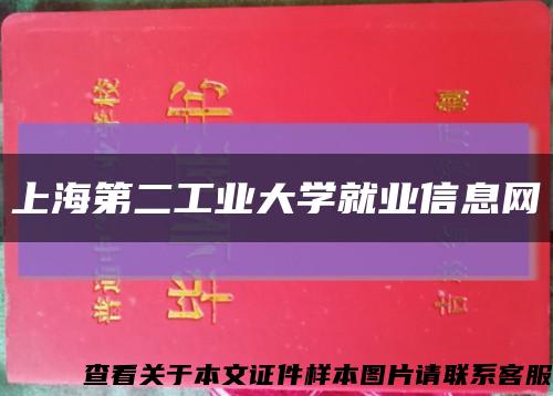 上海第二工业大学就业信息网缩略图