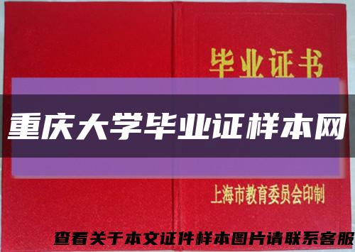 重庆大学毕业证样本网缩略图
