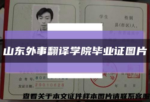 山东外事翻译学院毕业证图片缩略图