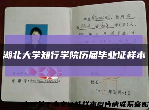 湖北大学知行学院历届毕业证样本缩略图