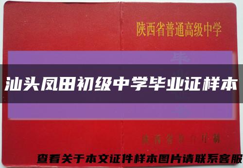 汕头凤田初级中学毕业证样本缩略图