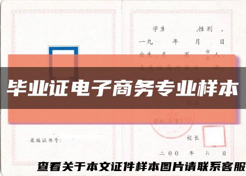 毕业证电子商务专业样本缩略图