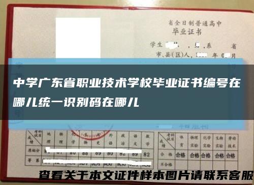中学广东省职业技术学校毕业证书编号在哪儿统一识别码在哪儿缩略图