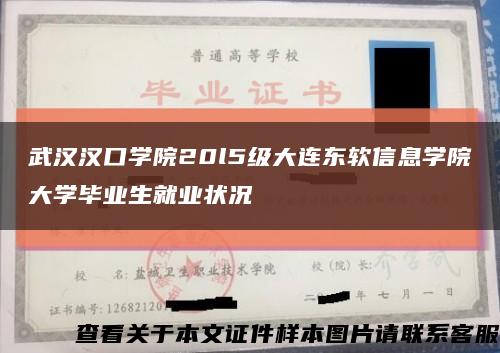 武汉汉口学院20l5级大连东软信息学院大学毕业生就业状况缩略图