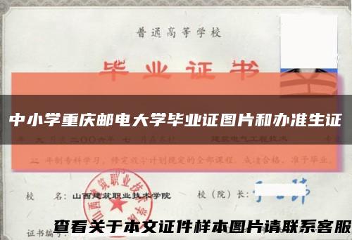 中小学重庆邮电大学毕业证图片和办准生证缩略图