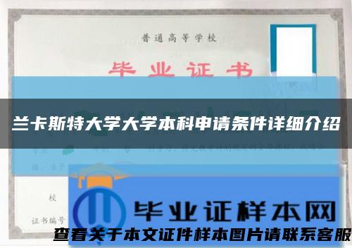 兰卡斯特大学大学本科申请条件详细介绍缩略图