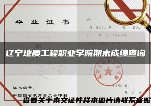 辽宁地质工程职业学院期末成绩查询缩略图