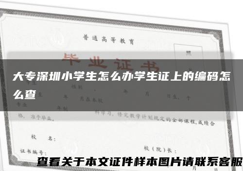 大专深圳小学生怎么办学生证上的编码怎么查缩略图