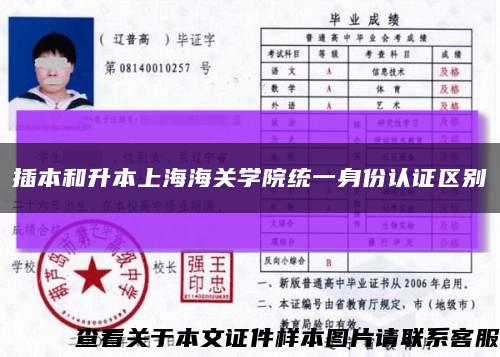 插本和升本上海海关学院统一身份认证区别缩略图
