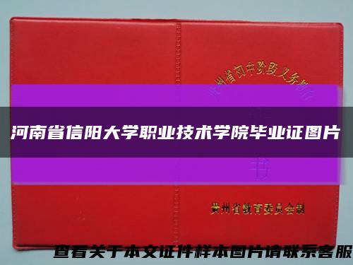 河南省信阳大学职业技术学院毕业证图片缩略图