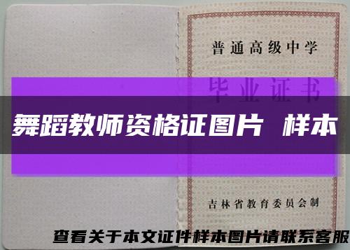 舞蹈教师资格证图片 样本缩略图