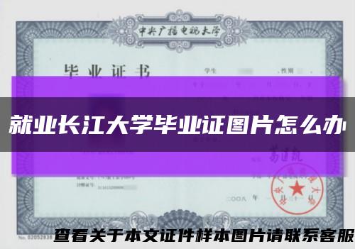 就业长江大学毕业证图片怎么办缩略图