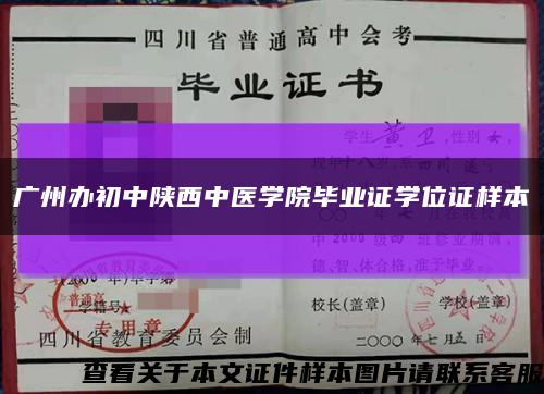 广州办初中陕西中医学院毕业证学位证样本缩略图
