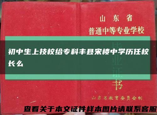 初中生上技校给专科丰县宋楼中学历任校长么缩略图