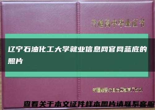辽宁石油化工大学就业信息网官网蓝底的照片缩略图