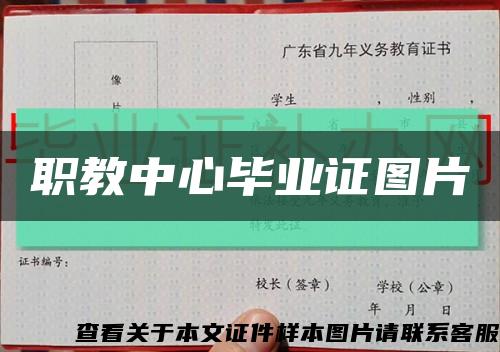 职教中心毕业证图片缩略图