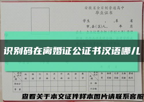 识别码在离婚证公证书汉语哪儿缩略图