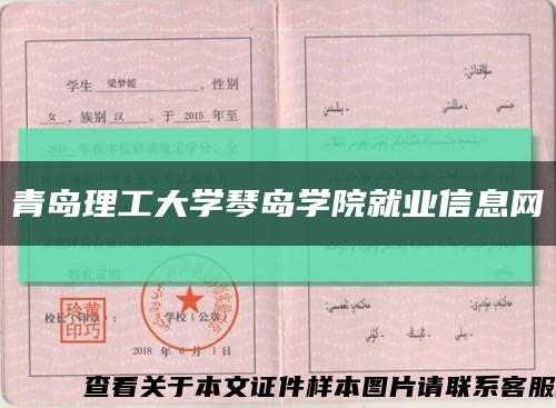 青岛理工大学琴岛学院就业信息网缩略图