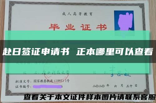 赴日签证申请书 正本哪里可以查看缩略图