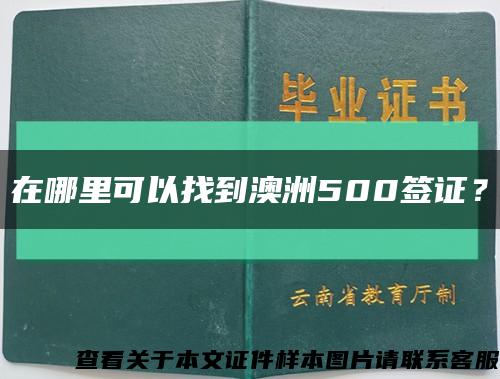 在哪里可以找到澳洲500签证？缩略图