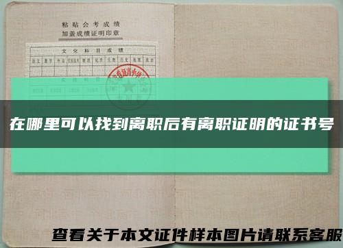 在哪里可以找到离职后有离职证明的证书号缩略图