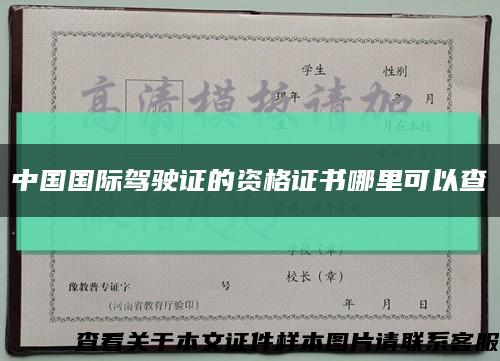 中国国际驾驶证的资格证书哪里可以查缩略图