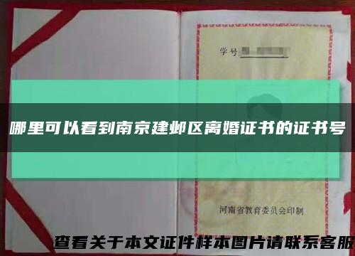 哪里可以看到南京建邺区离婚证书的证书号缩略图