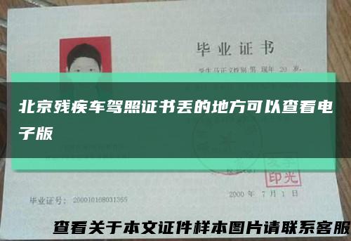 北京残疾车驾照证书丢的地方可以查看电子版缩略图