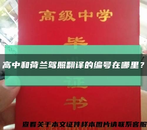 高中和荷兰驾照翻译的编号在哪里？缩略图
