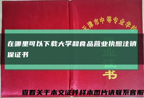 在哪里可以下载大学和食品营业执照注销保证书缩略图
