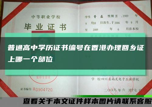普通高中学历证书编号在香港办理回乡证上哪一个部位缩略图