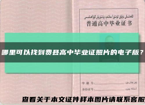 哪里可以找到费县高中毕业证照片的电子版？缩略图