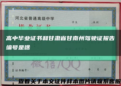 高中毕业证书和甘肃省甘南州驾驶证报告编号是啥缩略图