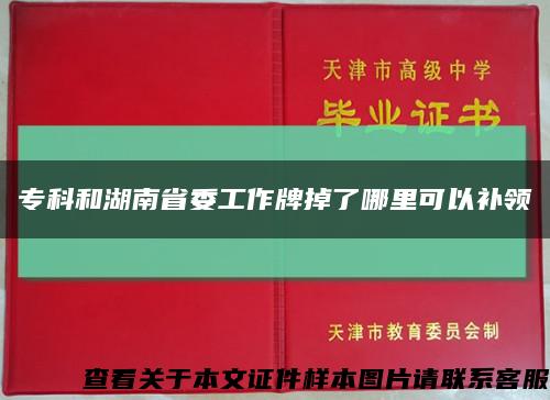 专科和湖南省委工作牌掉了哪里可以补领缩略图