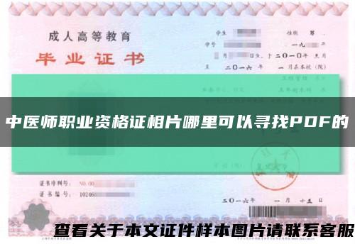 中医师职业资格证相片哪里可以寻找PDF的缩略图