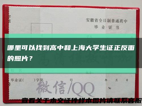 哪里可以找到高中和上海大学生证正反面的照片？缩略图