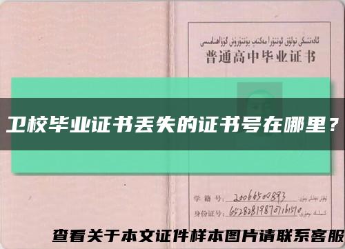 卫校毕业证书丢失的证书号在哪里？缩略图