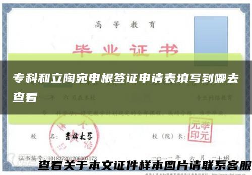 专科和立陶宛申根签证申请表填写到哪去查看缩略图