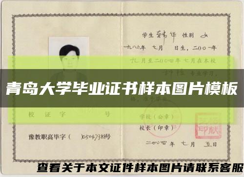 青岛大学毕业证书样本图片模板缩略图