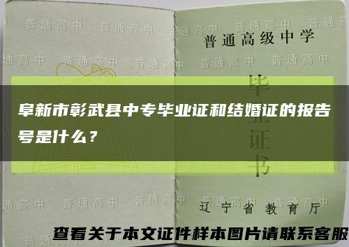 阜新市彰武县中专毕业证和结婚证的报告号是什么？缩略图