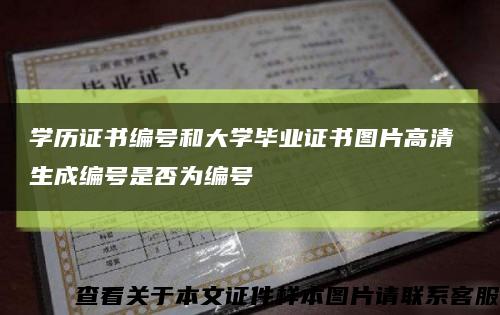 学历证书编号和大学毕业证书图片高清 生成编号是否为编号缩略图