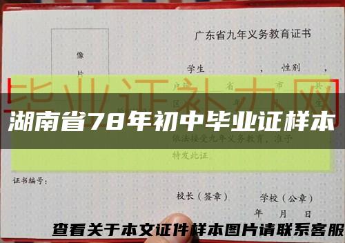 湖南省78年初中毕业证样本缩略图