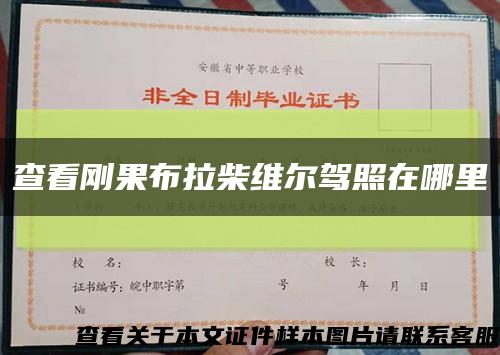 查看刚果布拉柴维尔驾照在哪里缩略图