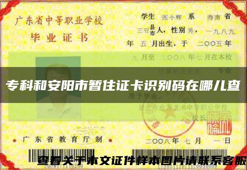 专科和安阳市暂住证卡识别码在哪儿查缩略图