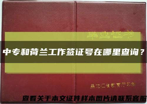 中专和荷兰工作签证号在哪里查询？缩略图