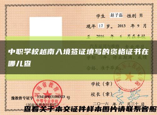中职学校越南入境签证填写的资格证书在哪儿查缩略图